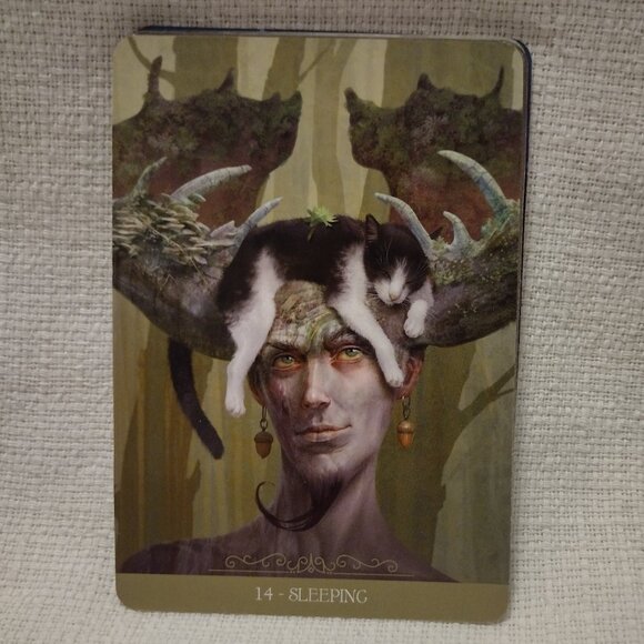 Fantasy Cats Oracle - Picture 7 of 11